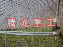 大棚花卉供暖設(shè)備、大棚卉采暖設(shè)備、大棚花卉取暖設(shè)備