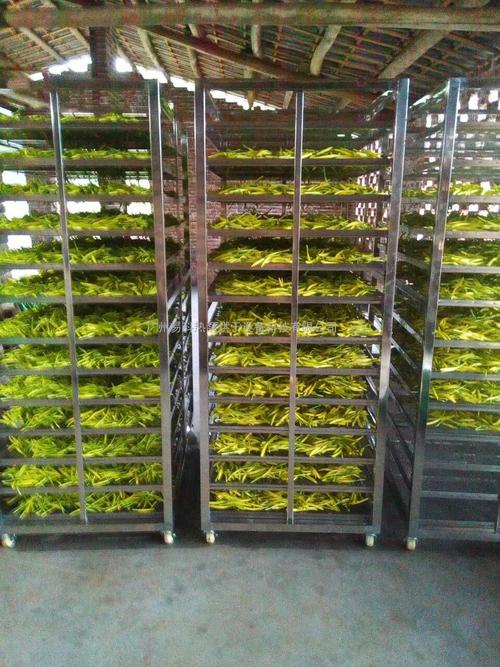 黃花菜烘干機(jī)、黃花菜烘干設(shè)備、黃花菜干燥機(jī)、黃花菜干燥設(shè)備、